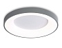 FZ1402 GR серый IP20 48W 3000K-6500K D500*50 (ПДУ ИК)