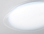 FZ1601 FR матовый IP20 40W 5000K 410*100 (Без ПДУ)