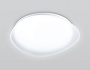 FZ1601 FR матовый IP20 40W 5000K 410*100 (Без ПДУ)