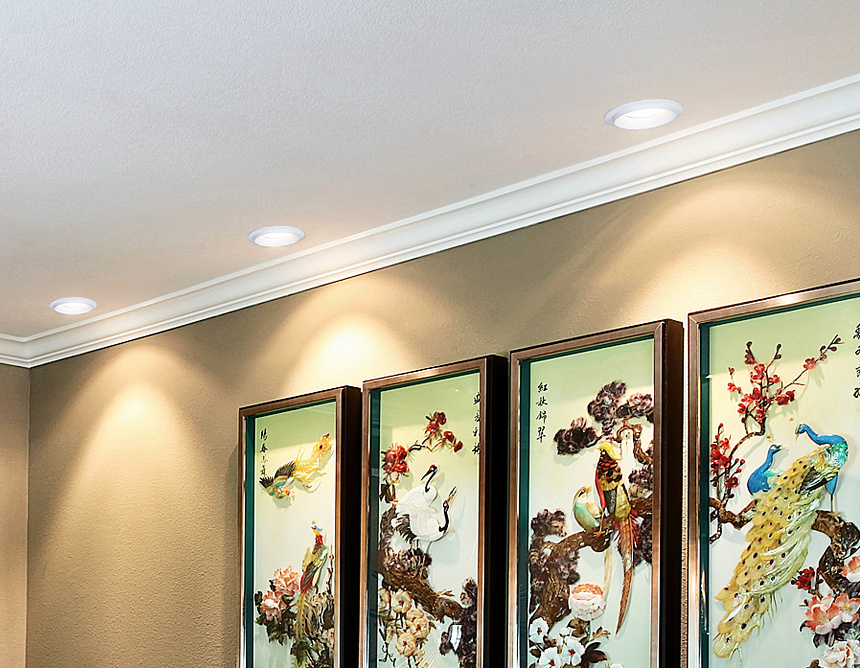 TN160 WH белый GU5.3 D92*38