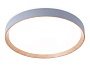 FZ1322 GR/LWD серый/светлое дерево IP20 60W 3000-6400K D490*80 (ПДУ ИК)