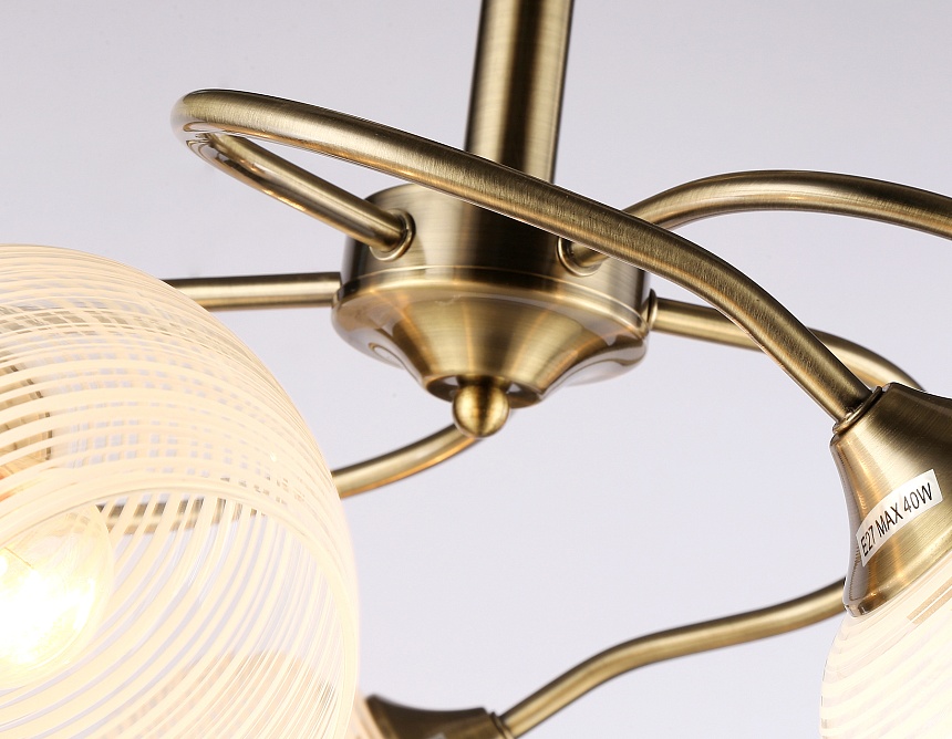 TR3199/5 SB/CL/FR бронза/прозрачный/белый матовый E27/5 max 40W D600*485