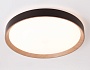 FZ1326 BK/LWD черный/светлое дерево IP20 60W 3000-6400K D490*80 (ПДУ ИК)