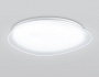 FZ1605 FR матовый IP20 60W 5000K 510*100 (Без ПДУ)